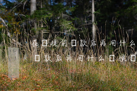 花唄提前還款后再用什么時候還-花唄提前還款后再用什么時候還款