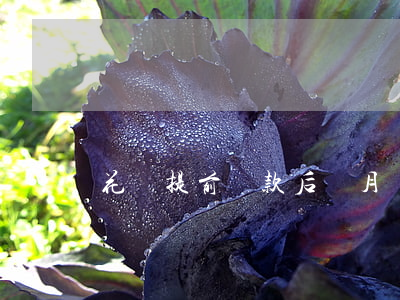 花唄提前還款后該月還要再還嗎-