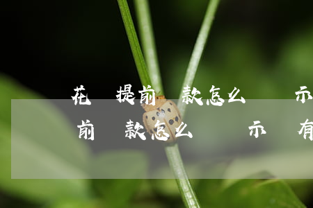 花唄提前還款怎么還顯示沒有還完-花唄提前還款怎么還顯示沒有還完呢