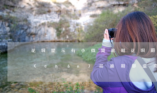 花唄提示有小微貸逾期(花唄顯示你有微貸產(chǎn)品逾期 都還完也不能用)