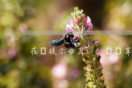 花唄提示每月10號還算逾期嗎