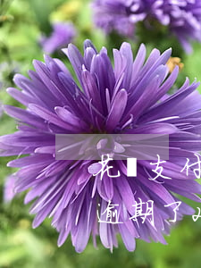 花唄支付寶借唄同時逾期(支付寶借唄和花唄逾期了2個月,會被起訴嗎)