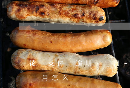 花唄支付寶逾期兩個月-花唄支付寶逾期兩個月怎么辦