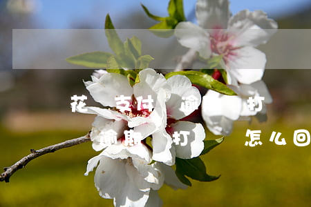 花唄支付寶逾期給打電話怎么回-花唄支付寶逾期給打電話怎么回事