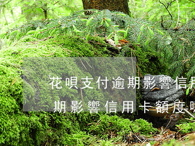 花唄支付逾期影響信用卡額度嗎(花唄支付逾期影響信用卡額度嗎嗎)