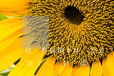 花唄整逾期半年會怎么樣(花唄逾期好久了,還完了還會有額度嗎)