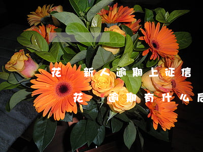 花唄新人逾期上征信嗎(花唄逾期半年上征信嗎?花唄逾期有什么后果)