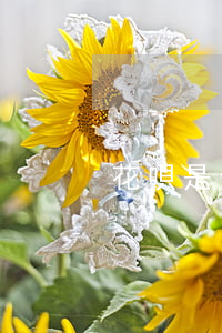 花唄是全款還款日可遲2天還嗎-