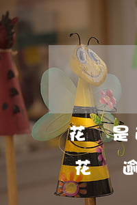 花唄是逾期狀態(tài)還可以借白條嗎(花唄逾期結(jié)清,借唄還是無法借款怎么回事?)