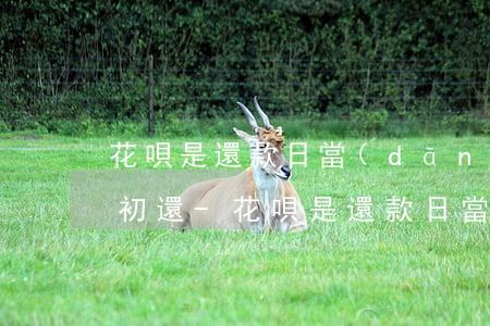 花唄是還款日當(dāng)天還款還是月初還-花唄是還款日當(dāng)天還款還是月初還款