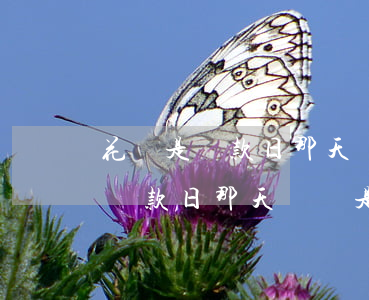 花唄是還款日那天還還是那個月還-花唄是還款日那天還還是那個月還劃算