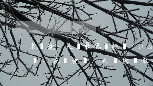 花唄晚一天還最低還款會(huì)上征信嗎-花唄晚還1天還能還最低嗎