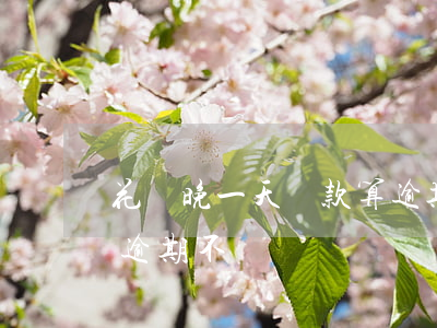 花唄晚一天還款算逾期不(花唄晚一天還款算逾期不)
