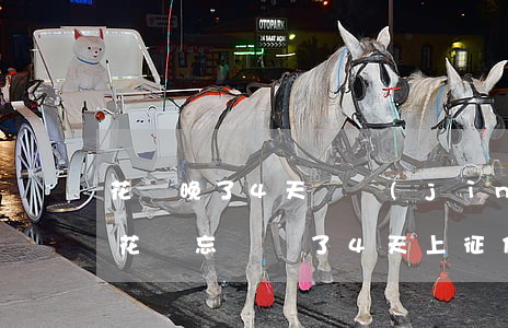 花唄晚了4天還進(jìn)去有影響嗎-花唄忘記還了4天上征信嗎