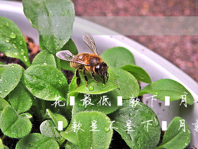 花唄最低還款下個月一定要還嗎-花唄最低還款是不是下個月就要還清