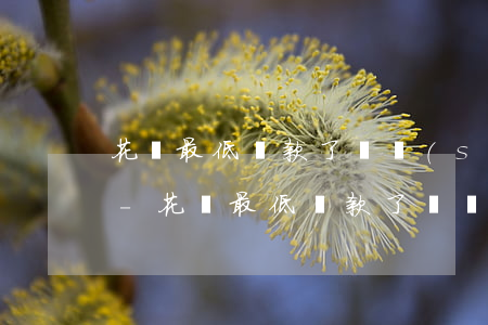花唄最低還款了臨時(shí)額度怎么還-花唄最低還款了臨時(shí)額度怎么還款