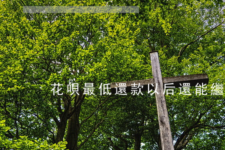 花唄最低還款以后還能繼續(xù)還嗎-
