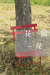 花唄最低還款后如何繼續(xù)還一部分-花唄最低還款后怎么繼續(xù)還