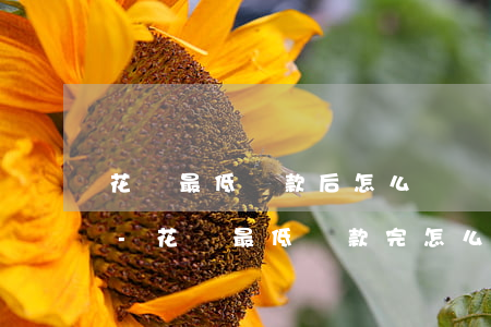 花唄最低還款后怎么繼續(xù)還一部分-花唄最低還款完怎么繼續(xù)還款