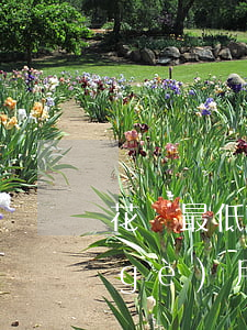 花唄最低還款后錢(qián)是下一個(gè)月還嗎-花唄最低還款后下個(gè)月必須還完嗎