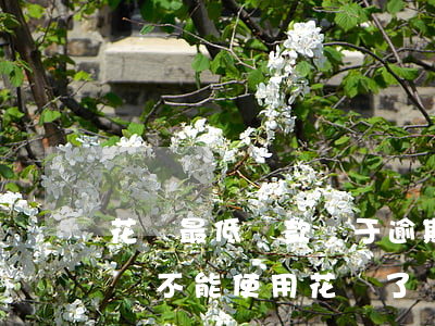 花唄最低還款屬于逾期(花唄逾期還最低還款額,不能使用花唄了)