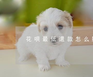 花唄最低還款怎么顯示還總額度-