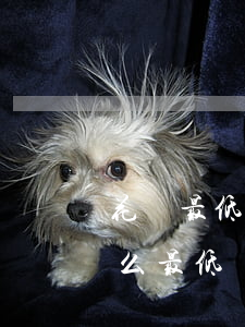 花唄最低還款是否逾期(花唄還款逾期了為什么最低還款變成了全部)