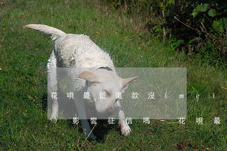 花唄最低還款沒(méi)還完會(huì)影響征信嗎-花唄最低還款沒(méi)還完會(huì)影響征信嗎怎么辦