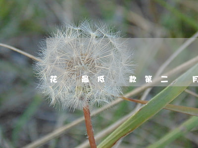 花唄最低還款第二個月也不全還-