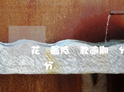 花唄最低還款逾期幾分鐘(花唄最低還款逾期幾分鐘)