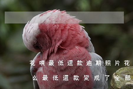 花唄最低還款逾期照片(花唄還款逾期了為什么最低還款變成了全部)
