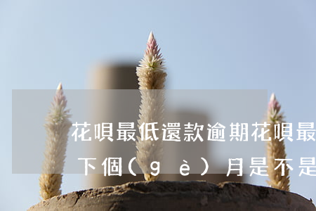 花唄 最低還款 逾期(花唄最低還款逾期還款了,下個(gè)月是不是不能最低還款了?)