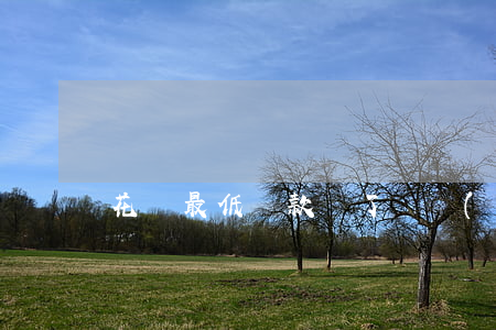 花唄最低還款還了繼續(xù)還怎么還-