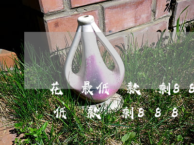 花唄最低還款還剩888塊錢沒還-花唄最低還款還剩888塊錢沒還怎么辦