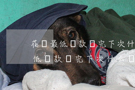 花唄最低還款還完下次什么時候還-花唄最低還款還完下次什么時候還款