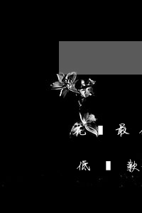 花唄最低還款還完了怎么還打電話-花唄最低還款還完了怎么還打電話催款