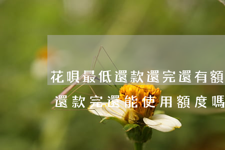 花唄最低還款還完還有額度用嗎-花唄最低還款完還能使用額度嗎