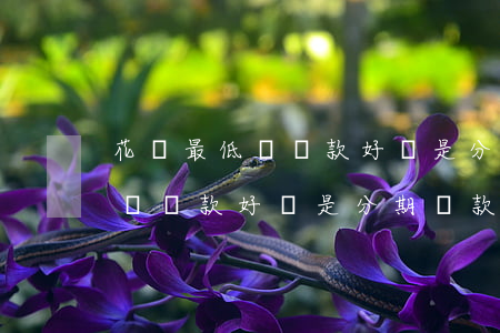 花唄最低還還款好還是分期還款-花唄最低還還款好還是分期還款好