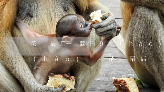 花唄最后還款日9號(hào)是最遲幾號(hào)還-花唄最后還款日9號(hào)是最遲幾號(hào)還款