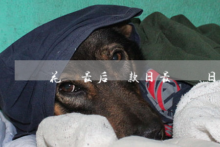 花唄最后還款日最遲當日幾點還-