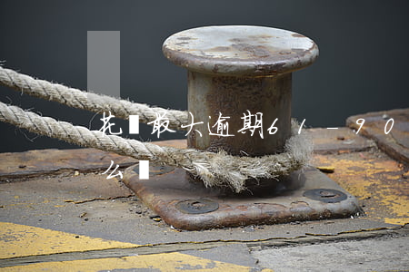 花唄最大逾期61-90(花唄40逾期會怎么樣)