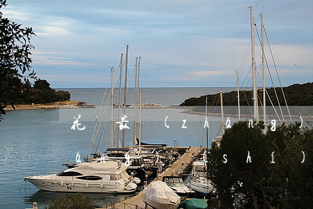 花唄最長(zhǎng)能逾期多長(zhǎng)時(shí)間(花唄有過(guò)逾期記錄還要多久才能用花唄)