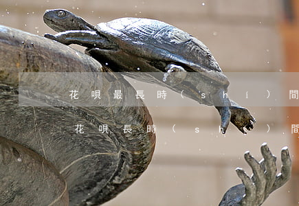 花唄最長時(shí)間能逾期多久(支付寶花唄長時(shí)間逾期會怎樣)