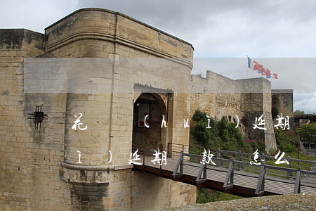 花唄會(huì)延期還款嗎 花唄會(huì)延期還款嗎怎么還