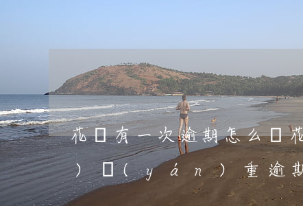 花唄有一次逾期怎么辦(花唄曾經(jīng)嚴(yán)重逾期過,后來還了,怎樣可以快速使用)