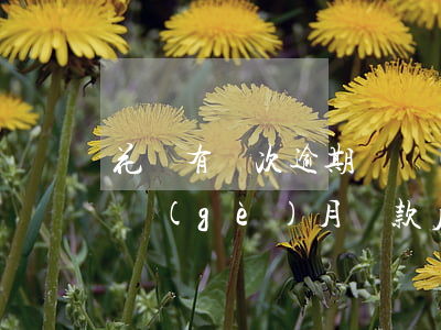 花唄有兩次逾期凍結(jié)(花唄逾期兩個(gè)月,還款后凍結(jié)了,多久可以用)
