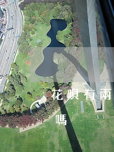 花唄有兩次逾期可以嗎(花唄有兩次逾期可以嗎)