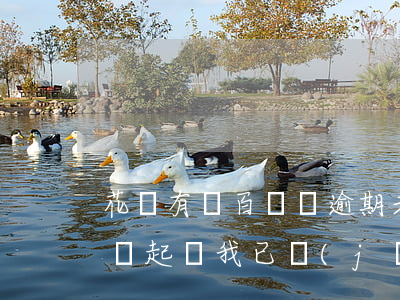 花唄有幾百塊錢逾期未還(花唄逾期多少金額會起訴,我已經(jīng)還了2000多)