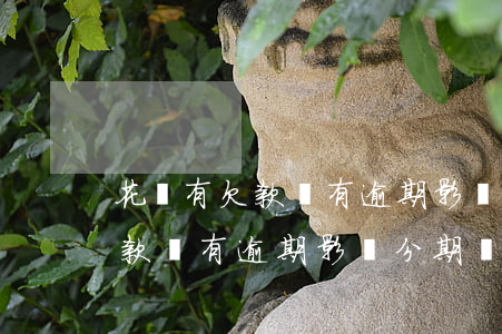花唄有欠款沒有逾期影響分期嗎-花唄有欠款沒有逾期影響分期嗎怎么辦