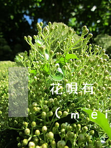 花唄有沒(méi)有逾期一天的(花唄有沒(méi)有逾期一天的)